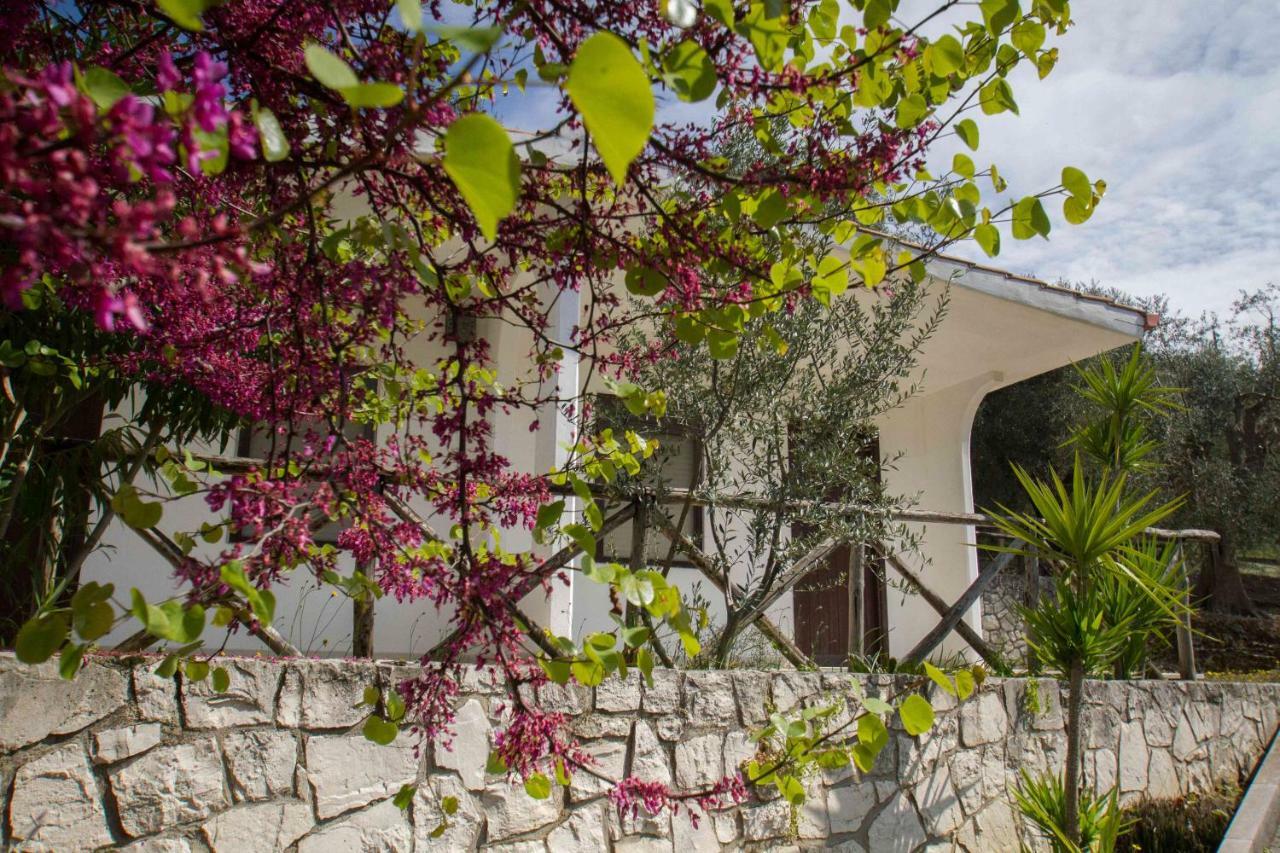 Village Valle D'Oro Aparthotel San Menaio Luaran gambar