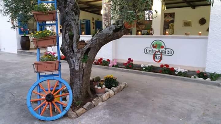 Village Valle D'Oro Aparthotel San Menaio Luaran gambar